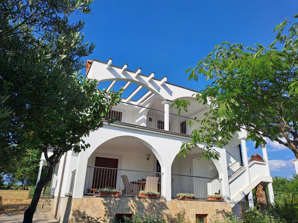 Apartments Pavlovic Ninski Stanovi المظهر الخارجي الصورة